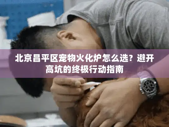 北京昌平区宠物火化炉怎么选？避开高坑的终极行动指南