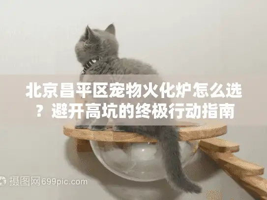 北京昌平区宠物火化炉怎么选？避开高坑的终极行动指南