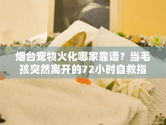 烟台宠物火化哪家靠谱？当毛孩突然离开的72小时自救指南