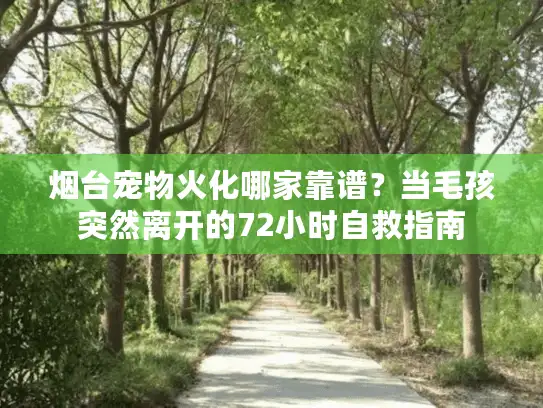 烟台宠物火化哪家靠谱？当毛孩突然离开的72小时自救指南