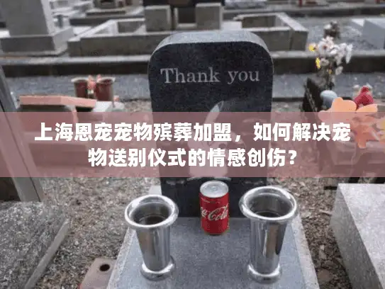 上海恩宠宠物殡葬加盟，如何解决宠物送别仪式的情感创伤？
