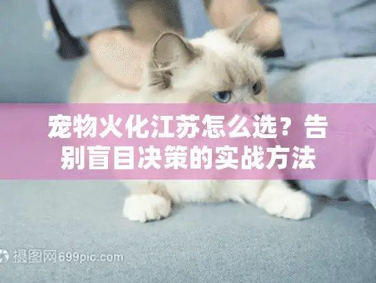 宠物火化江苏怎么选？告别盲目决策的实战方法