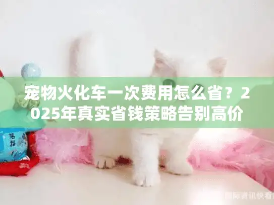 宠物火化车一次费用怎么省？2025年真实省钱策略告别高价坑
