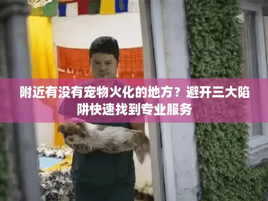 附近有没有宠物火化的地方？避开三大陷阱快速找到专业服务