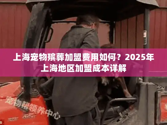 上海宠物殡葬加盟费用如何？2025年上海地区加盟成本详解