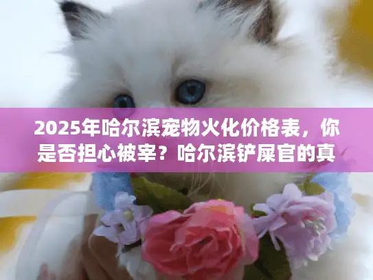 2025年哈尔滨宠物火化价格表，你是否担心被宰？哈尔滨铲屎官的真实省钱秘籍