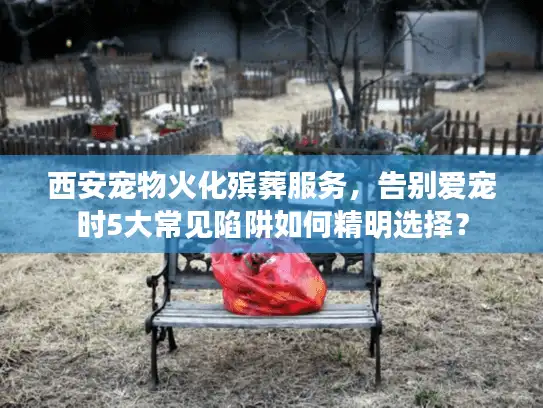 西安宠物火化殡葬服务，告别爱宠时5大常见陷阱如何精明选择？