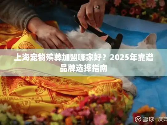 上海宠物殡葬加盟哪家好？2025年靠谱品牌选择指南