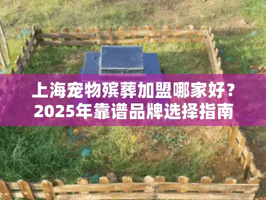 上海宠物殡葬加盟哪家好？2025年靠谱品牌选择指南