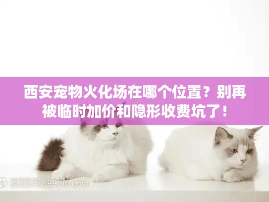 西安宠物火化场在哪个位置？别再被临时加价和隐形收费坑了！