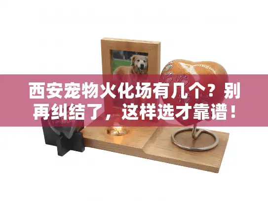 西安宠物火化场有几个？别再纠结了，这样选才靠谱！