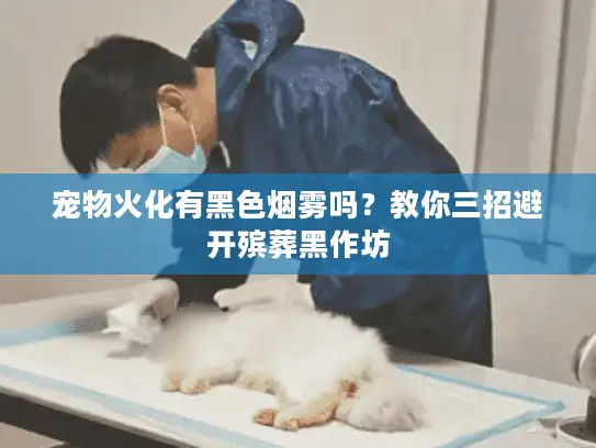 宠物火化有黑色烟雾吗？教你三招避开殡葬黑作坊