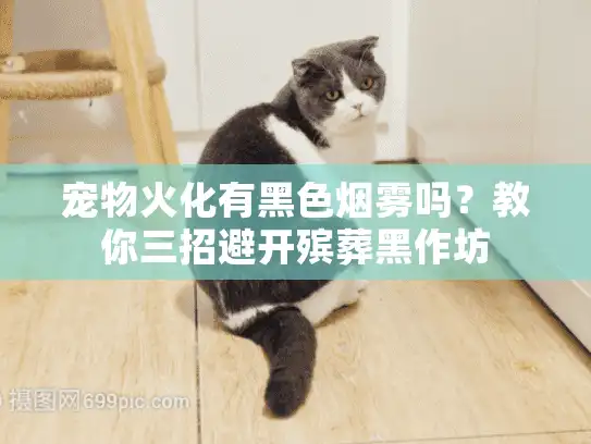 宠物火化有黑色烟雾吗？教你三招避开殡葬黑作坊