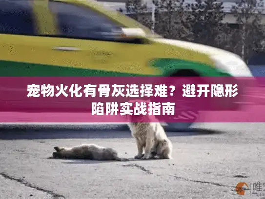 宠物火化有骨灰选择难？避开隐形陷阱实战指南
