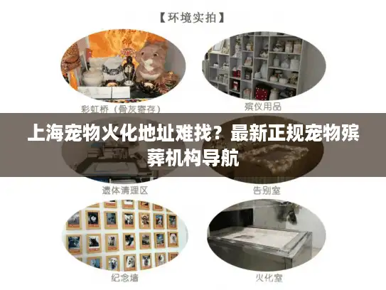 上海宠物火化地址难找？最新正规宠物殡葬机构导航