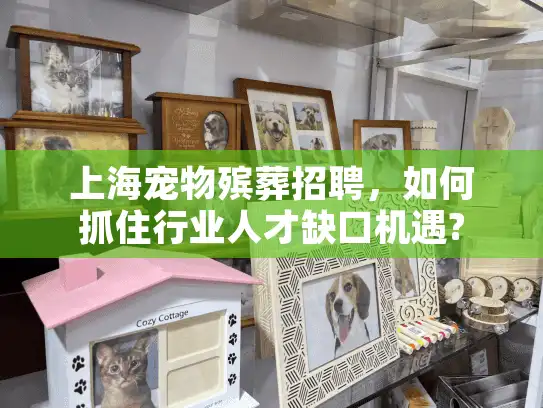上海宠物殡葬招聘，如何抓住行业人才缺口机遇?
