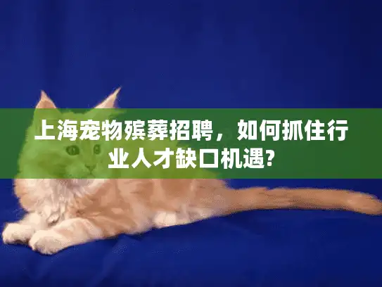 上海宠物殡葬招聘，如何抓住行业人才缺口机遇?