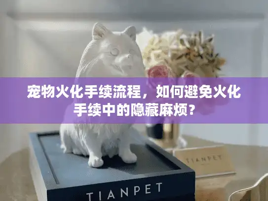宠物火化手续流程，如何避免火化手续中的隐藏麻烦？