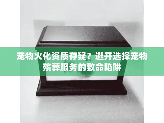 宠物火化资质存疑？避开选择宠物殡葬服务的致命陷阱