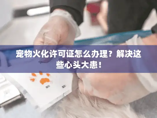 宠物火化许可证怎么办理？解决这些心头大患！