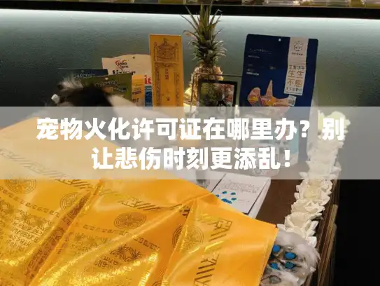 宠物火化许可证在哪里办？别让悲伤时刻更添乱！