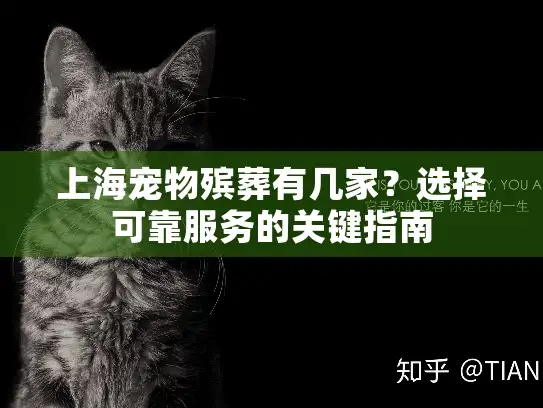 上海宠物殡葬有几家？选择可靠服务的关键指南