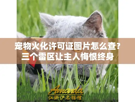 宠物火化许可证图片怎么查？三个雷区让主人悔恨终身