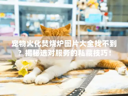 宠物火化焚烧炉图片大全找不到？揭秘选对服务的私藏技巧！