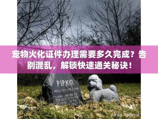 宠物火化证件办理需要多久完成？告别混乱，解锁快速通关秘诀！