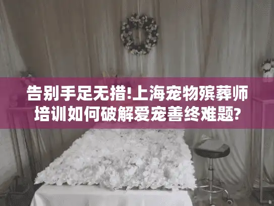 告别手足无措!上海宠物殡葬师培训如何破解爱宠善终难题?
