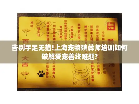 告别手足无措!上海宠物殡葬师培训如何破解爱宠善终难题?