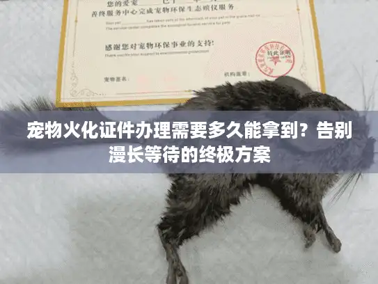 宠物火化证件办理需要多久能拿到？告别漫长等待的终极方案