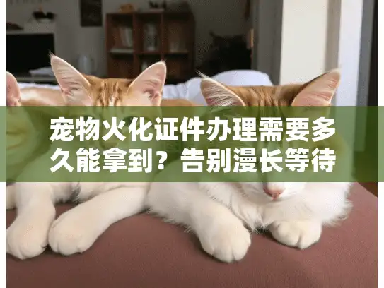 宠物火化证件办理需要多久能拿到？告别漫长等待的终极方案