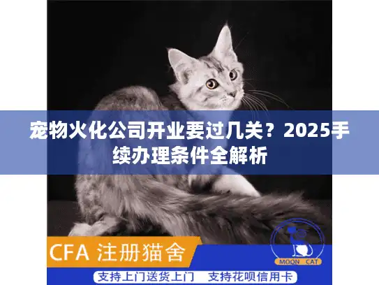 宠物火化公司开业要过几关？2025手续办理条件全解析