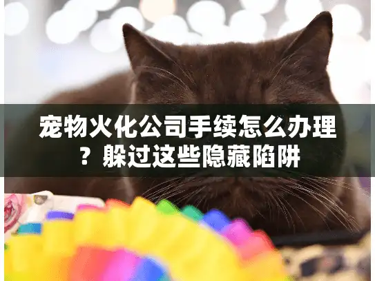 宠物火化公司手续怎么办理？躲过这些隐藏陷阱