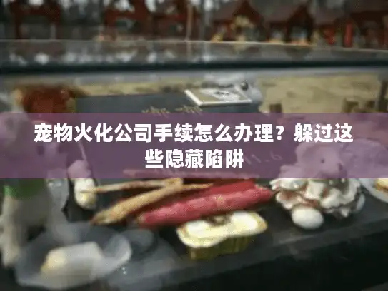 宠物火化公司手续怎么办理？躲过这些隐藏陷阱