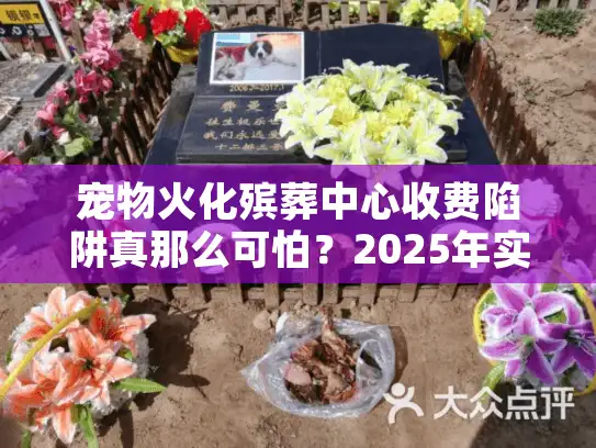 宠物火化殡葬中心收费陷阱真那么可怕？2025年实测避坑攻略