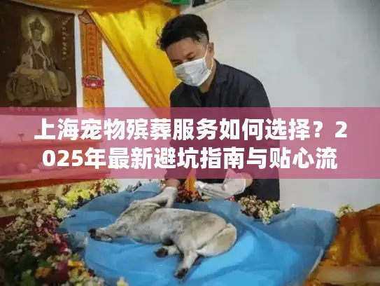 上海宠物殡葬服务如何选择？2025年最新避坑指南与贴心流程详解