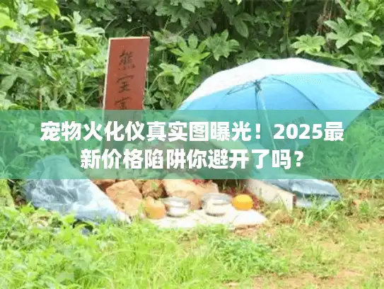 宠物火化仪真实图曝光！2025最新价格陷阱你避开了吗？