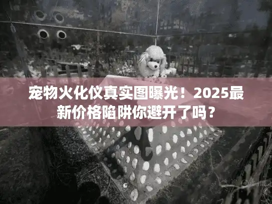 宠物火化仪真实图曝光！2025最新价格陷阱你避开了吗？