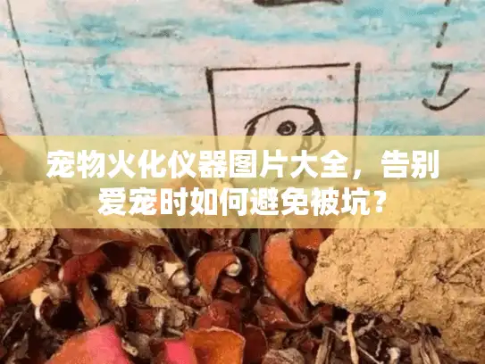 宠物火化仪器图片大全，告别爱宠时如何避免被坑？