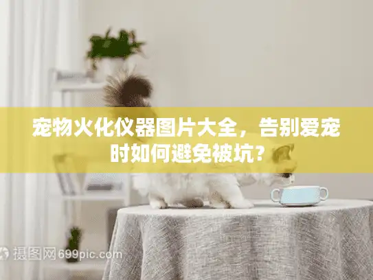 宠物火化仪器图片大全，告别爱宠时如何避免被坑？