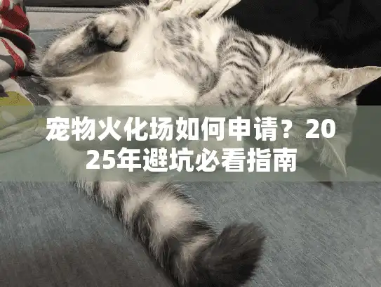 宠物火化场如何申请？2025年避坑必看指南