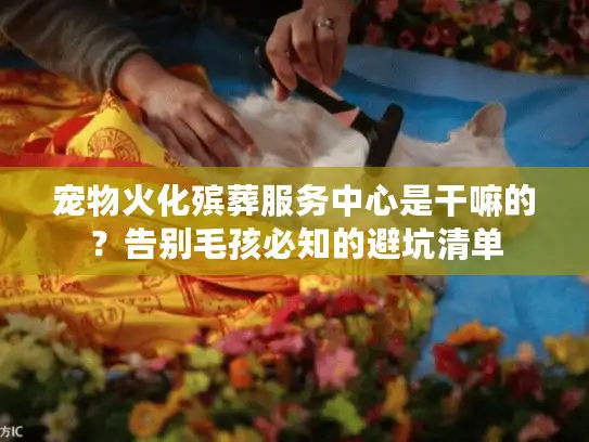 宠物火化殡葬服务中心是干嘛的？告别毛孩必知的避坑清单