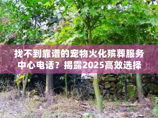 找不到靠谱的宠物火化殡葬服务中心电话？揭露2025高效选择秘籍