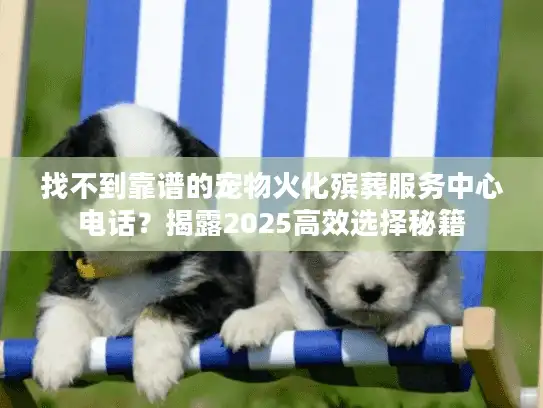 找不到靠谱的宠物火化殡葬服务中心电话？揭露2025高效选择秘籍