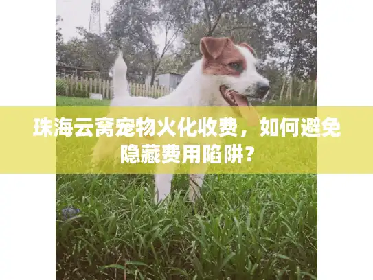 珠海云窝宠物火化收费，如何避免隐藏费用陷阱？