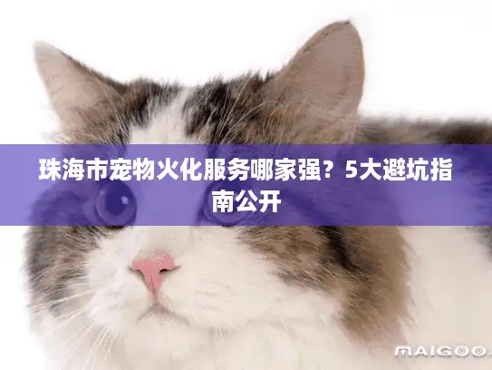 珠海市宠物火化服务哪家强？5大避坑指南公开