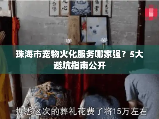珠海市宠物火化服务哪家强？5大避坑指南公开