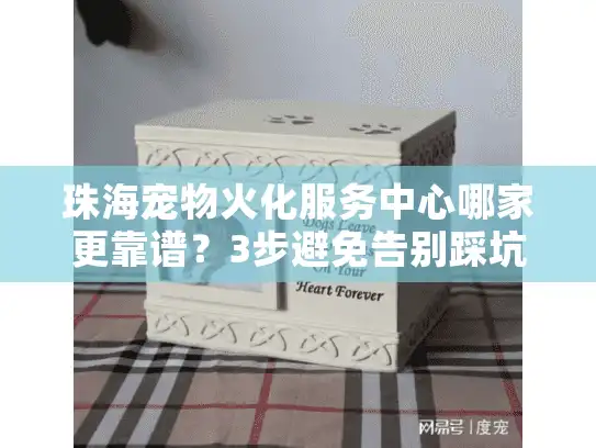 珠海宠物火化服务中心哪家更靠谱？3步避免告别踩坑